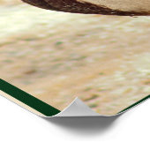 Poster Photo Mallard Duck (Coin)