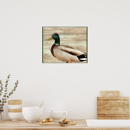 Poster Photo Mallard Duck (Cuisine)