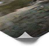 Poster Photo Mandarin Duck (Coin)