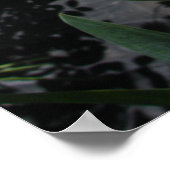 Poster photo Mauve Pink Iris Floral Flowers (Coin)