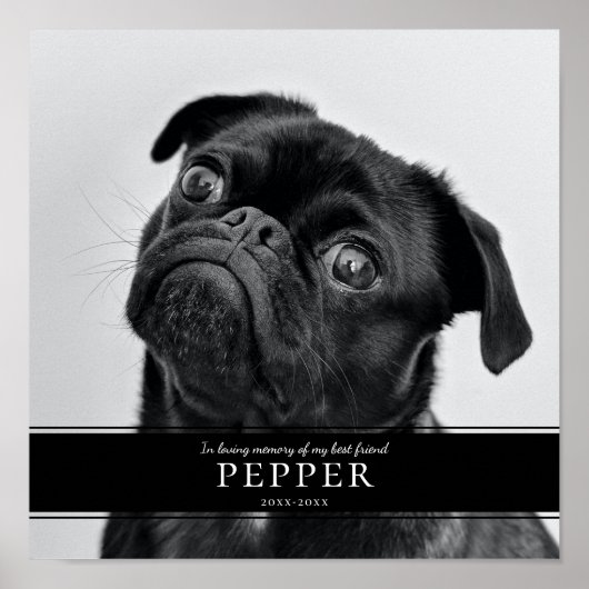 Poster Photo mémorial moderne pour chien en souvenir affe (Devant)