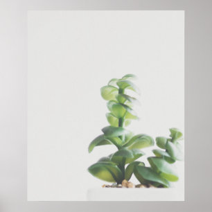 Poster Photo minimaliste simple Plante vert