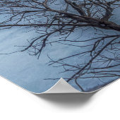 Poster Photo Mystical Niagara Falls (Coin)