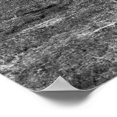 Poster photo noir et blanc paysage de printemps (Coin)