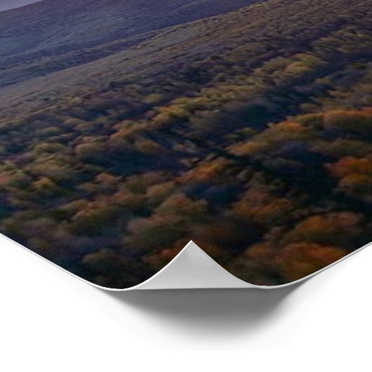 Poster photo of a mountainous autumn forest, mountains, p (Coin)