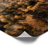 Poster photo of a mountainous autumn forest, mountains, p (Coin)
