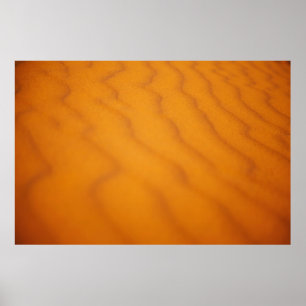 Poster Photo of desert