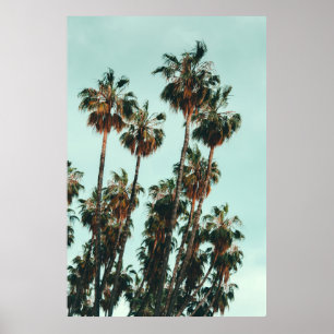 Poster Photo of green palm trees