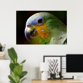 Poster photo Oiseau de perroquet Tropical (Bureau à domicile)