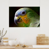 Poster photo Oiseau de perroquet Tropical (Cuisine)