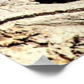 Poster photo Orangutan Ape Monkey (Coin)