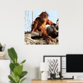 Poster photo Orangutan Ape Monkey (Bureau à domicile)