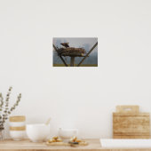 Poster photo Osprey in Nest (Cuisine)