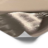 Poster Photo Pasta (Coin)