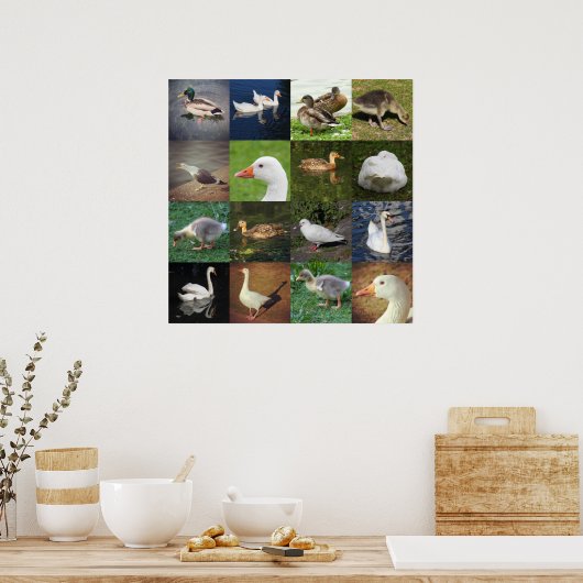 Poster Photo Patchwork - Oiseaux (Cuisine)