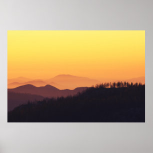 POSTER PHOTO PAYSAGE DE LA FORÊT PENDANT L'HEURE D'OR