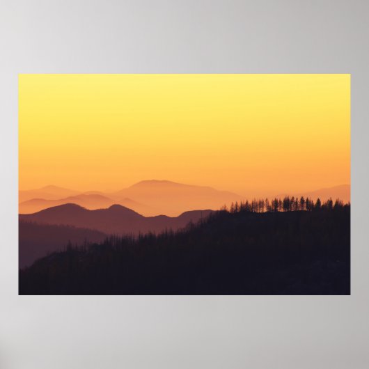 POSTER PHOTO PAYSAGE DE LA FORÊT PENDANT L'HEURE D'OR (Devant)