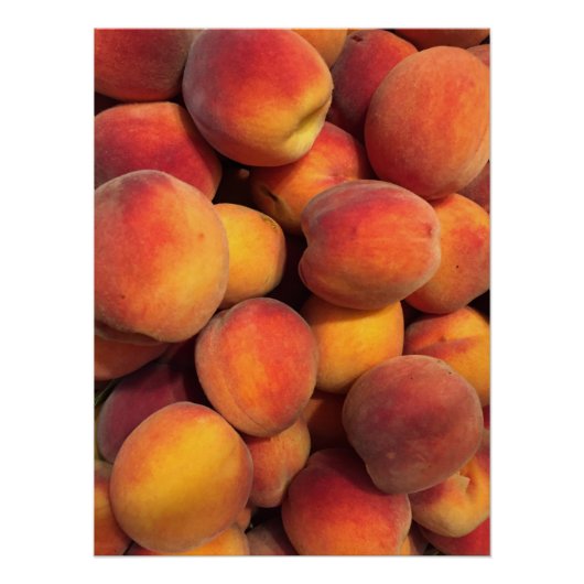 Poster photo Peachs (Devant)