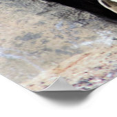 Poster Photo Penguin (Coin)