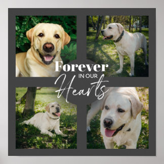 Poster Photo personnalisée Collage Pet Memorial