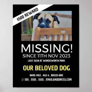 Poster Photo personnalisée, Manquant, Perdu Animal de com