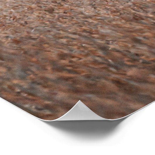 Poster photo Piebald Deer (Coin)