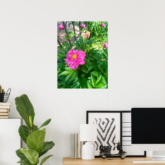 Poster photo Pink Peony Flower de Black Fence (Bureau à domicile)