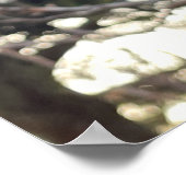 Poster photo plante (Coin)