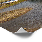 Poster photo Pond (Coin)