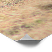 Poster Photo Pony (Coin)