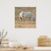 Poster Photo Pony (Cuisine)