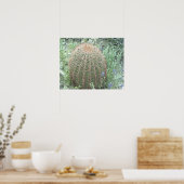 Poster photo Pricky Pétales Roses Cactus Desert (Cuisine)