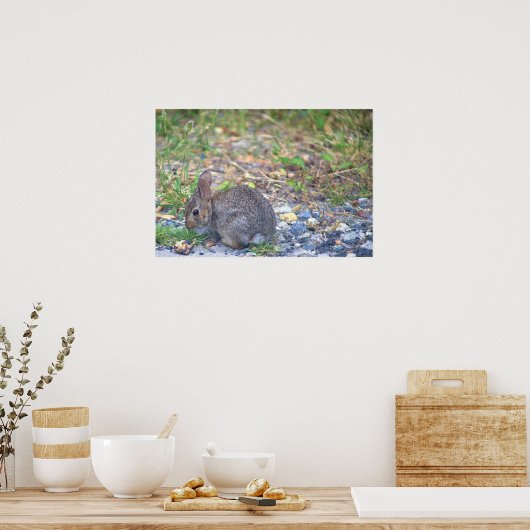 Poster Photo Rabbit (Cuisine)