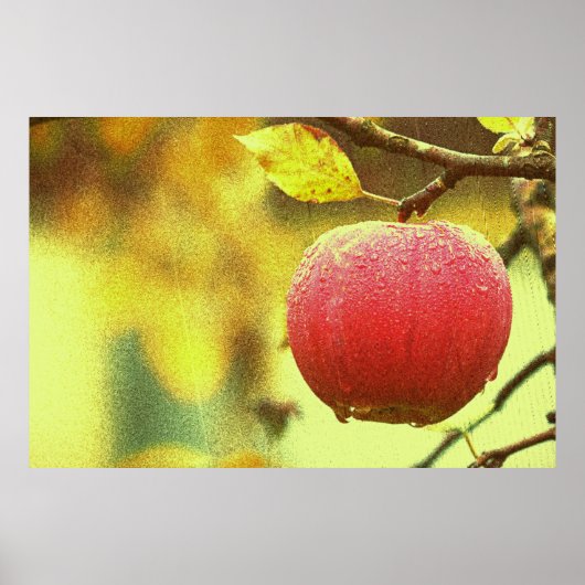 Poster Photo "Red Apple". Commandez dès maintenant  (Devant)