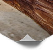 Poster Photo Red Chicken Hen (Coin)