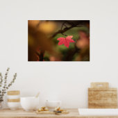 Poster Photo Red Fall Leaf Nature (Cuisine)