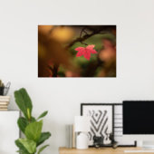Poster Photo Red Fall Leaf Nature (Bureau à domicile)