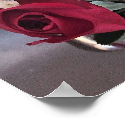 Poster Photo Red Roses (Coin)