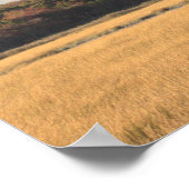 Poster photo Refuge Landscape (Coin)