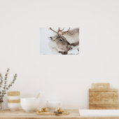 Poster Photo Reindeer (Cuisine)