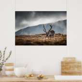 Poster Photo Reindeer (Cuisine)