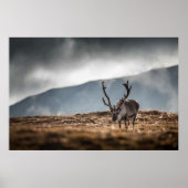 Poster Photo Reindeer (Devant)