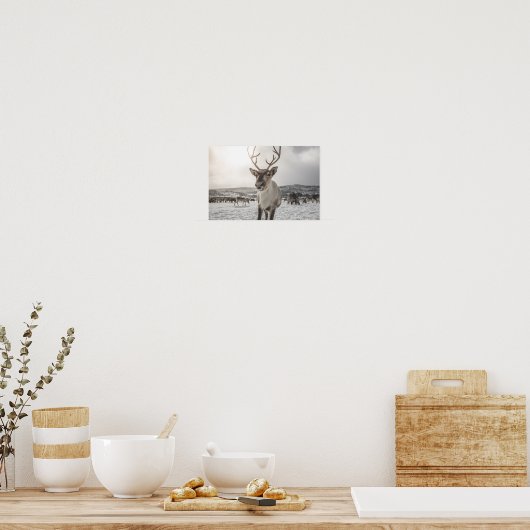 Poster photo Reindeer Nature (Cuisine)