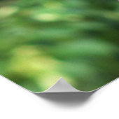 Poster photo Robin Bird (Coin)