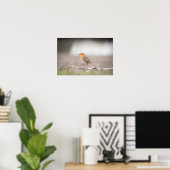 Poster photo Robin Nature (Bureau à domicile)