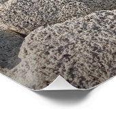 Poster Photo Rocky Ocean Shore (Coin)