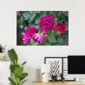 Poster photo rose (Bureau à domicile)