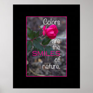 Poster Photo rose de cintrage unique