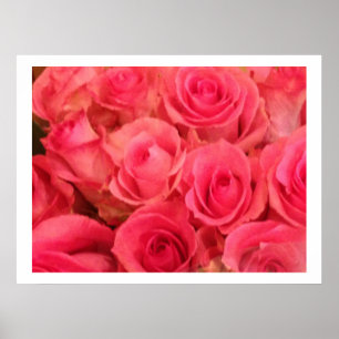 Poster photo Roses Roses roses