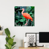 Poster photo Scarlet Ibis Bird (Bureau à domicile)